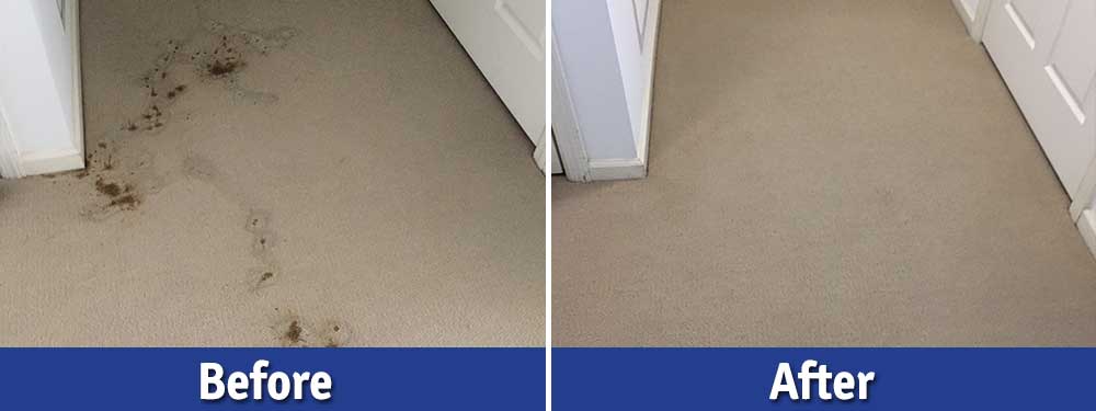 Before/After Cleaning
