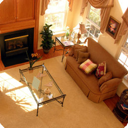 carpet-upholstery-cleaning-image