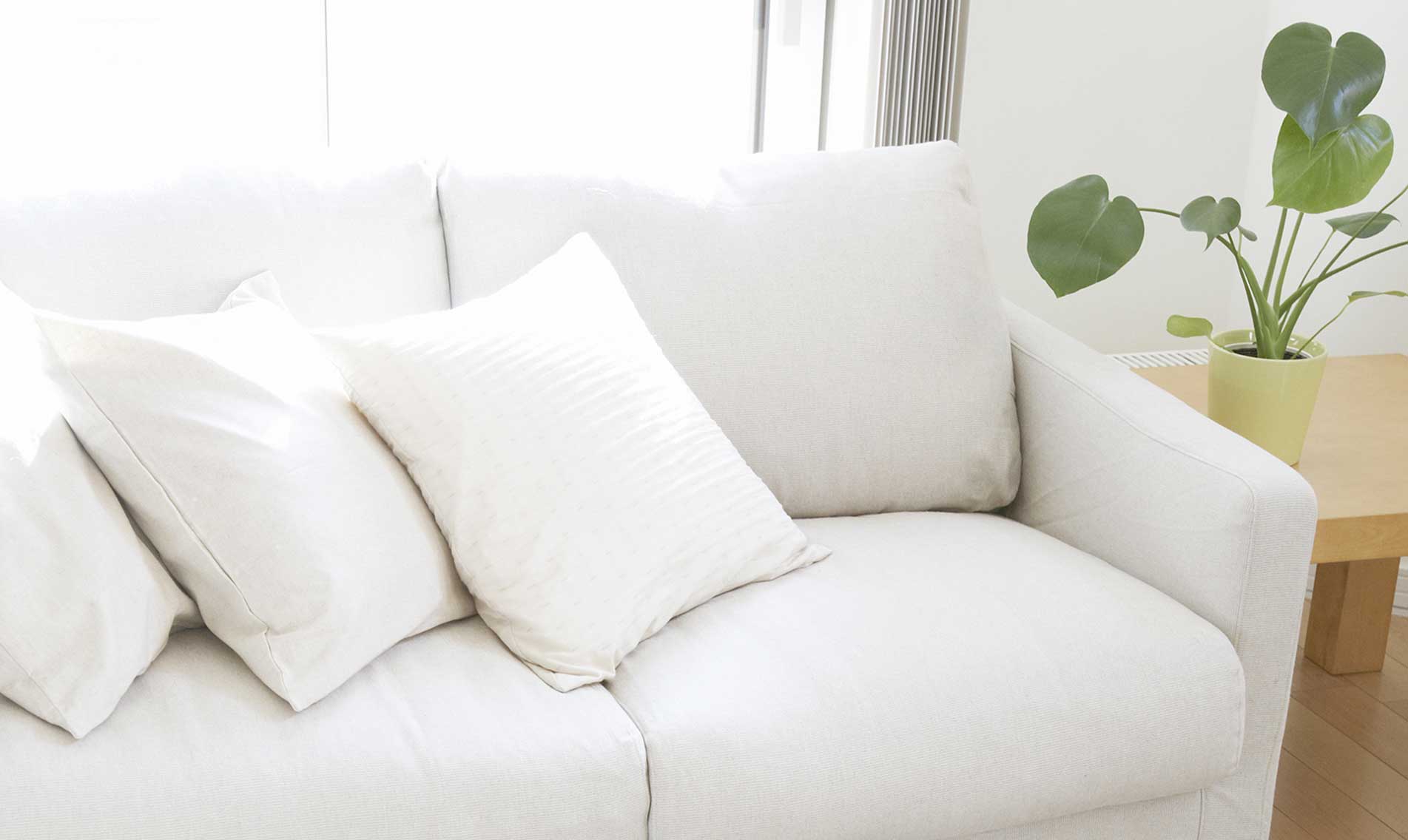 Upholstery Cleaning
