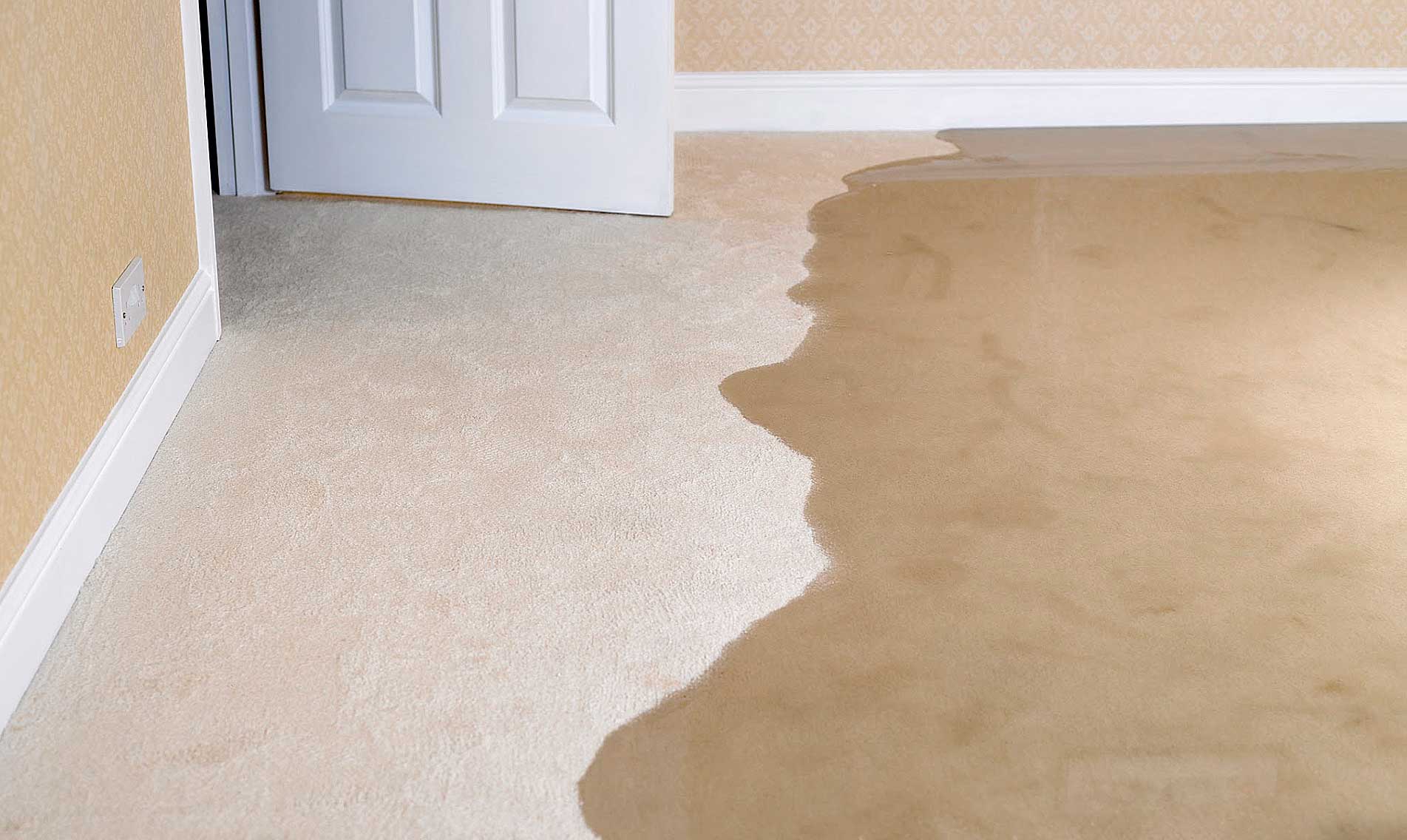 Water Damage Restoration