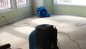cleaning