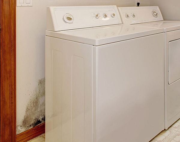 Laundry room in american house