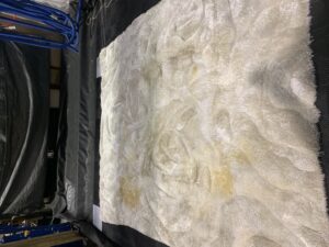 Severe Urine Stains