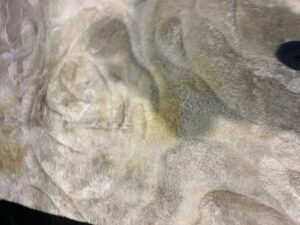 Severe Urine Stains