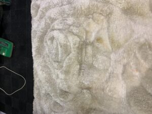 Severe Urine Stains