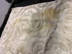 Severe Urine Stains